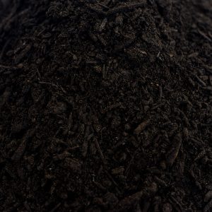 Premium Compost