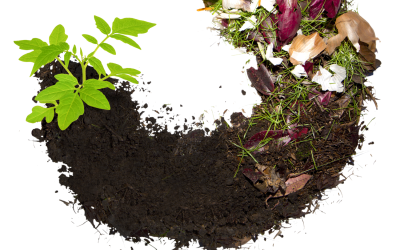 Composting 101: What Is Compost?