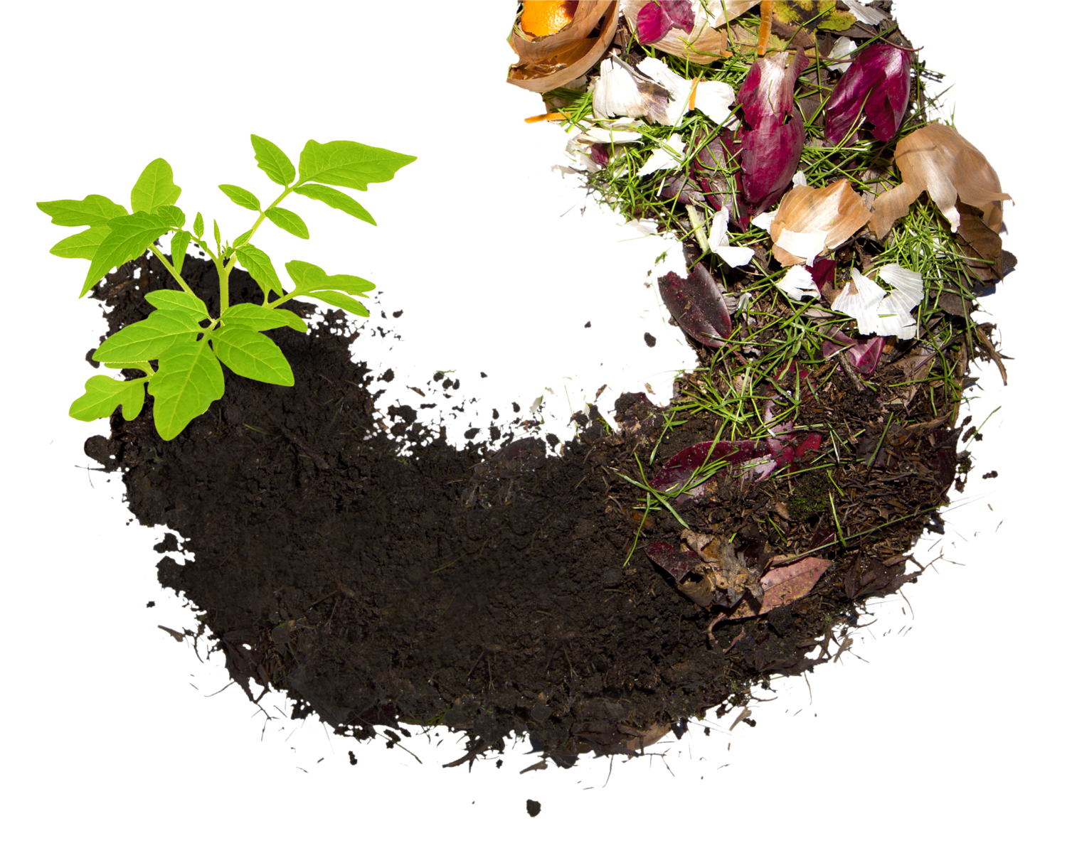 composting 101 what is compost