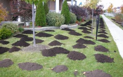 The Future Of Composting