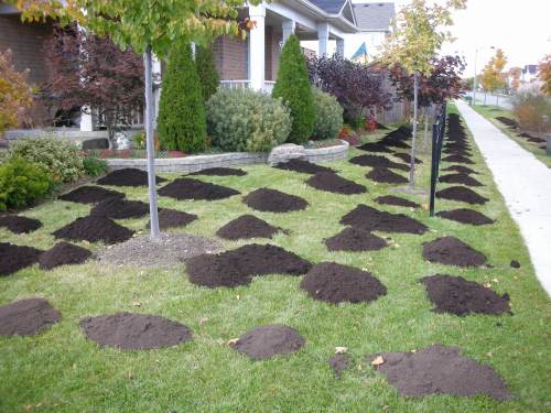 The Future Of Composting