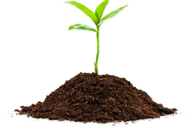 The History Of Compost